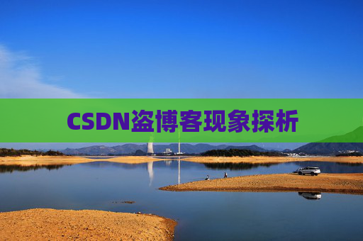 CSDN盗博客现象探析